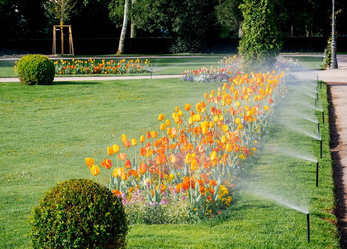 Lawn Irrigation System in USA